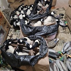 Waterfowl Hunting Package