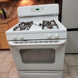 LG Gas Range Stove