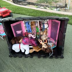 Barbie Dream House.        LOL Doll House