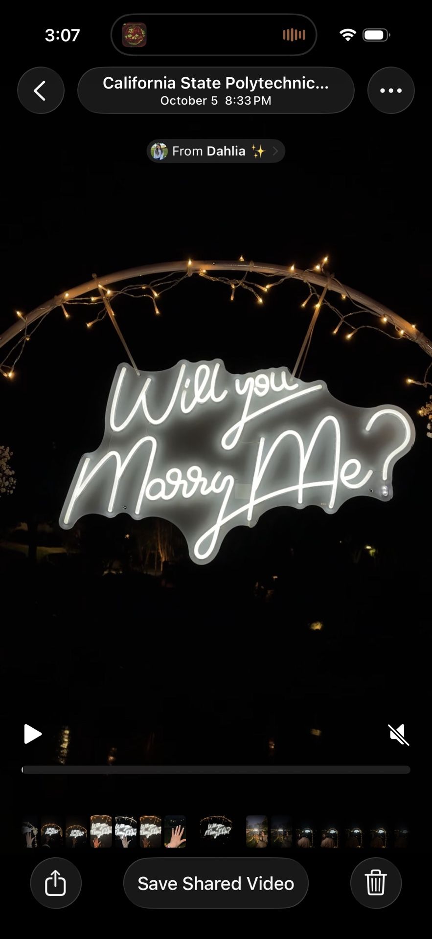 Will You Marry Me Neon Sign