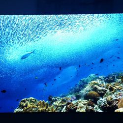 LG 65" Oled Flat-screen 