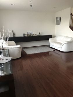 Dining table and couches