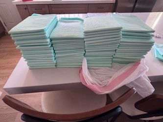 82 count absorbent dog training pads