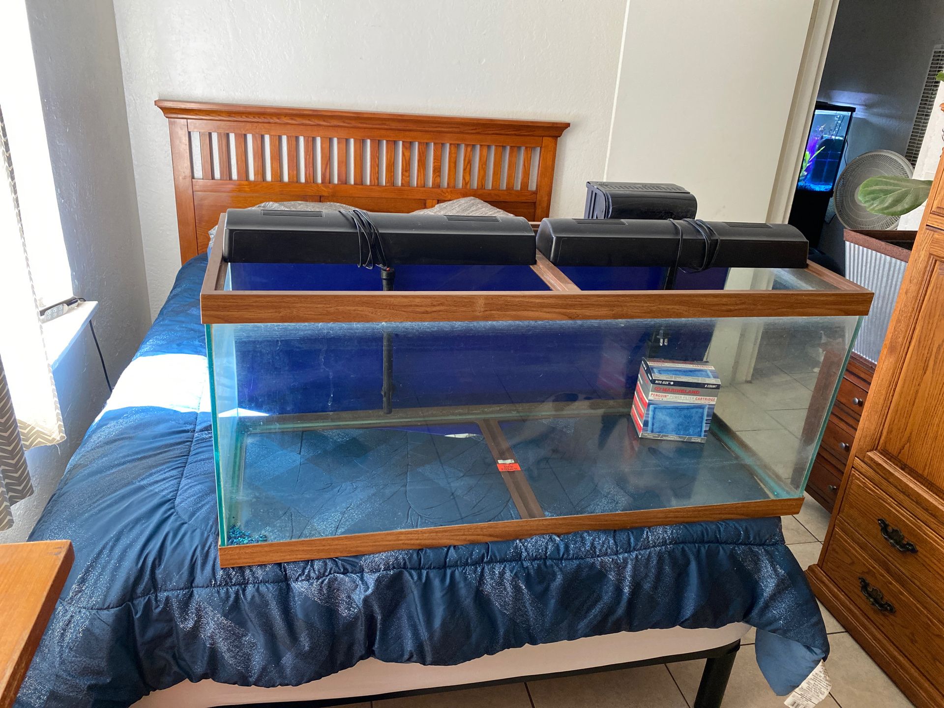 80 gallon tank