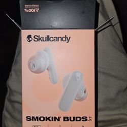 SkullCandy Ear Buds 