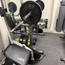 Squat Rack with Bumper Plates
