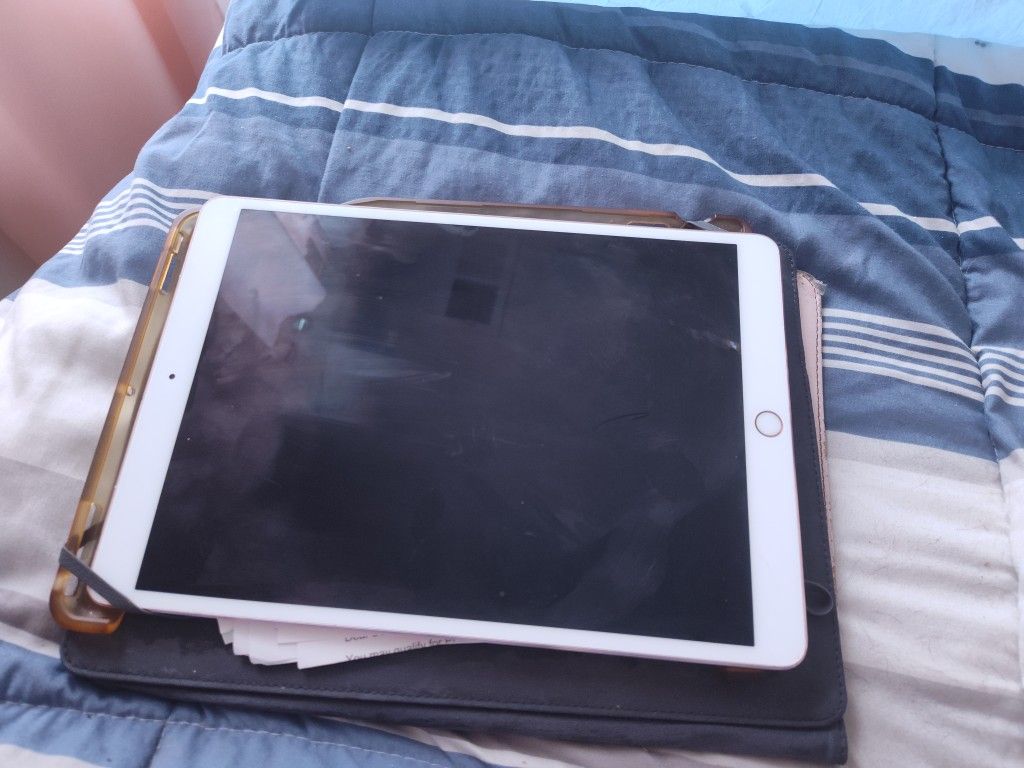 Apple Ipad