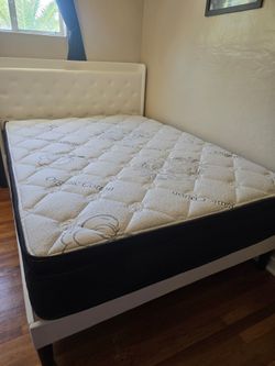 Payless For A New Mattress Twins 99 Fulls 159 Queens 179 Kings 229 California Kings 229 Frames 69 Se Habla Espanol Same Day Delivery