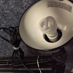 Desk Lamp