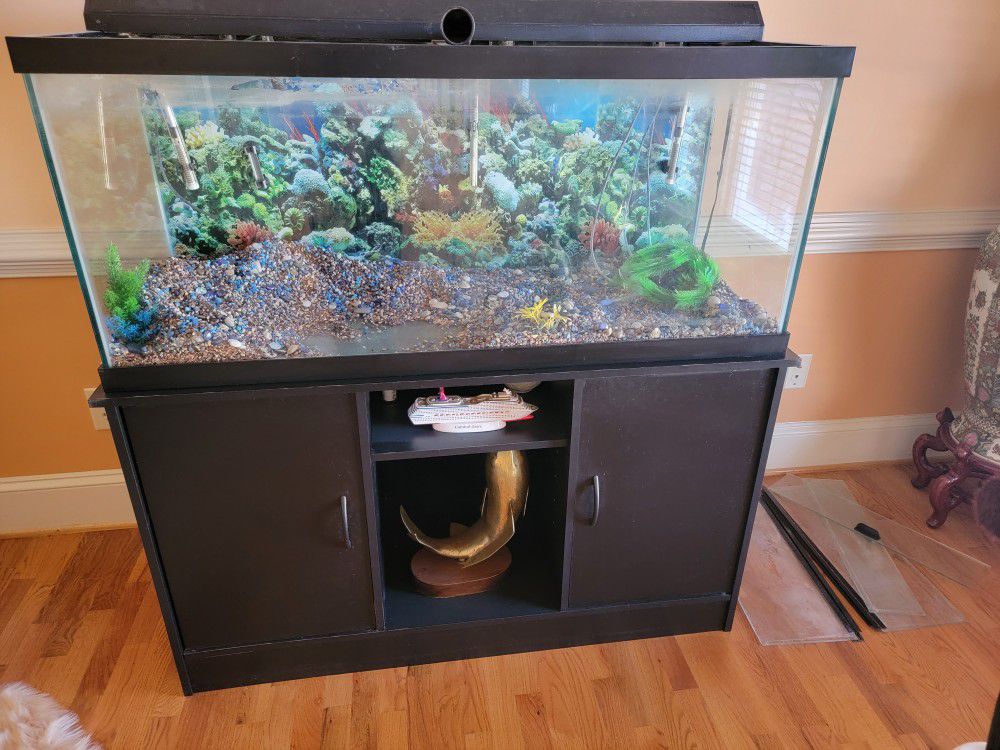 Fish Tank And Stand 75 Gal