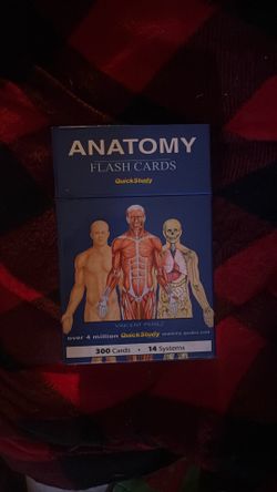 Anatomy flash cards