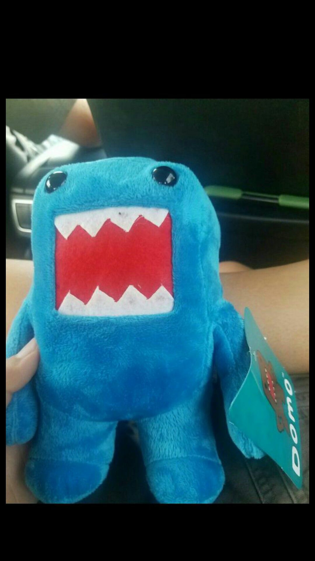 Domo