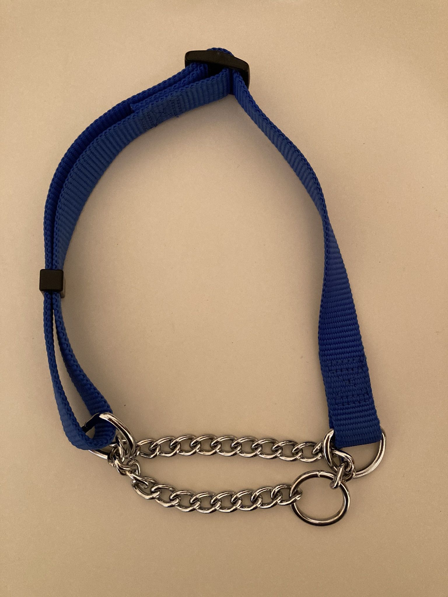 Blue Dog Pet Collar For Medium Sized Dog