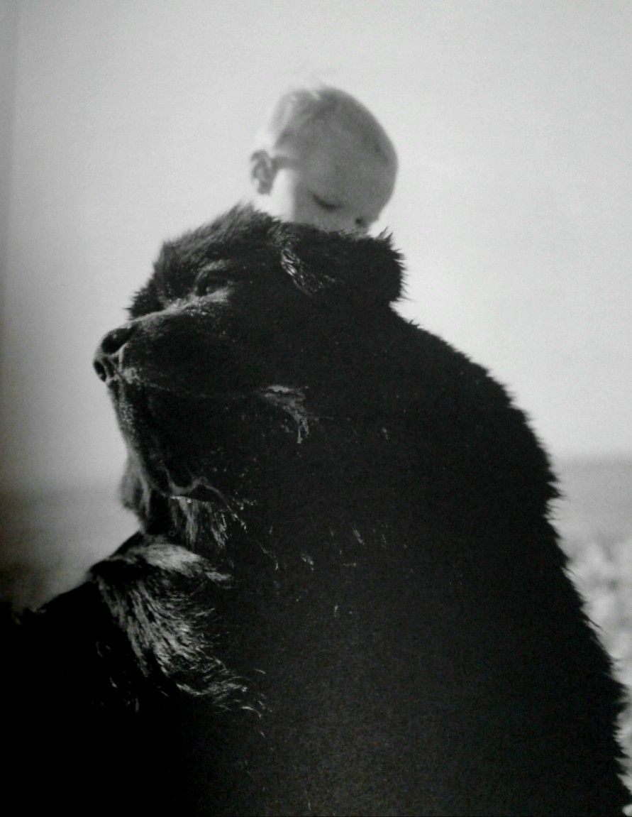 COLLECTOR BOOK DOG NEWFOUNDLAND 1ST EDITION, DARK CRYSTAL MOVIE BOOK W/ DRAWINGS JIM HENSON