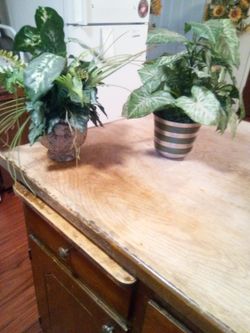 Fake plant both 15