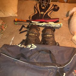 COMPLETE CATCHERS GEAR W 3 BATS & BAG