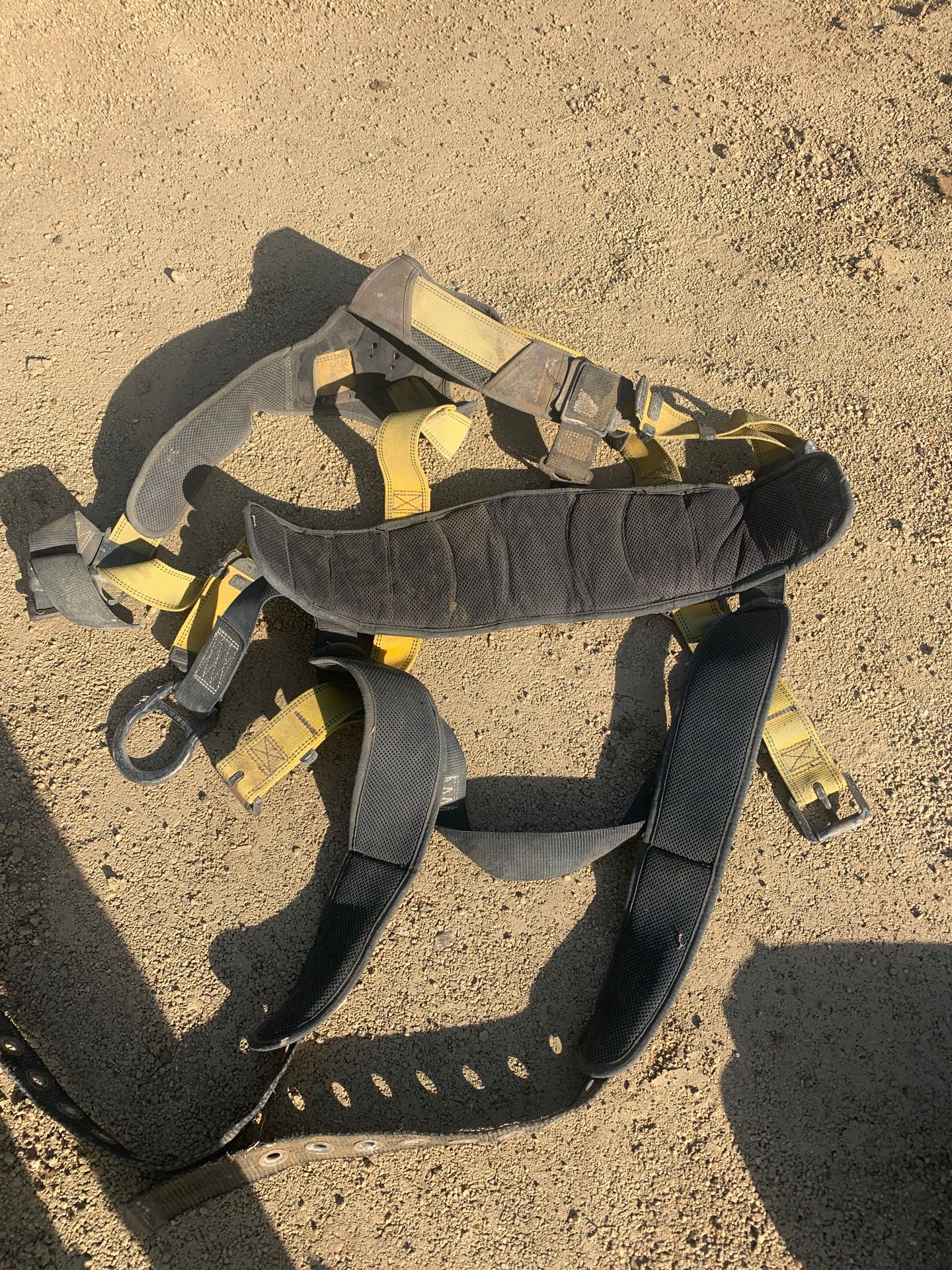 Harness