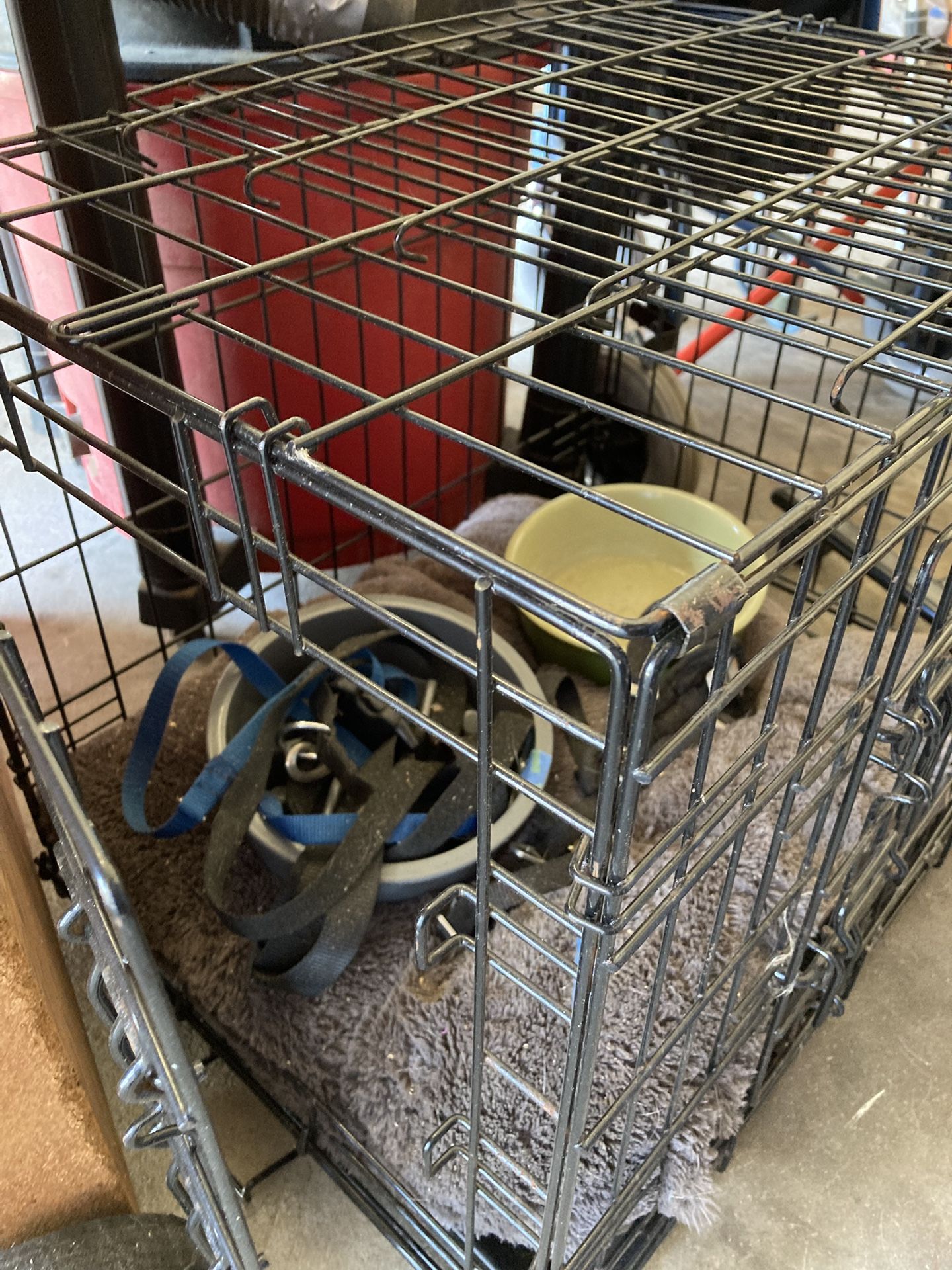 Puppy Starter Crate Plus More