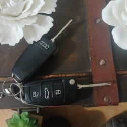 Audi Key Fobs With Keys