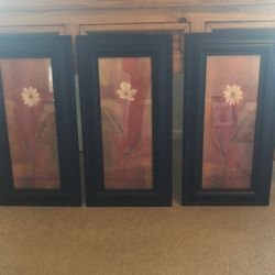 3 Framed Pictures