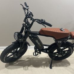 Adult Electric Bike For Sale 