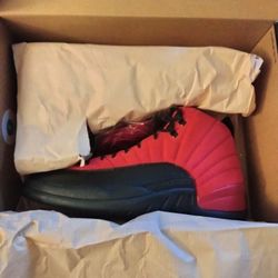 Brand New Jordan 12s Reverse Flu Game 