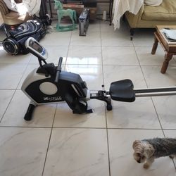 Water Rowing Machine

Xterra Fitness ERG 

