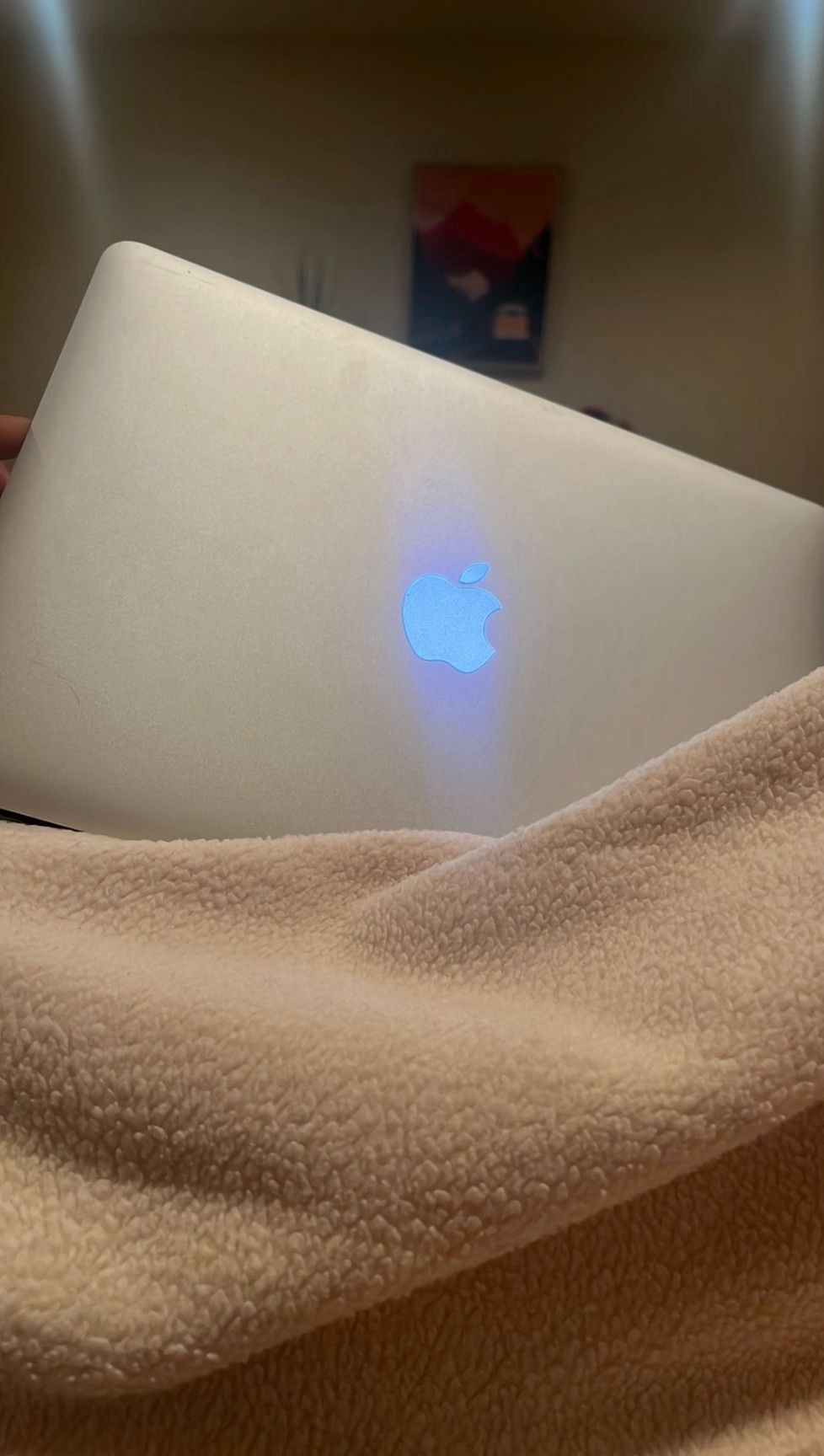 MacBook Air 13” (2017) – Fully Working, Ready to Go