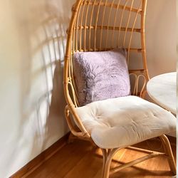 Lower Price! Stylish Rattan Chair (World Market)