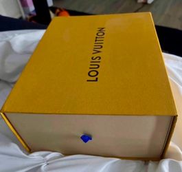 Louis Vuitton sneakers