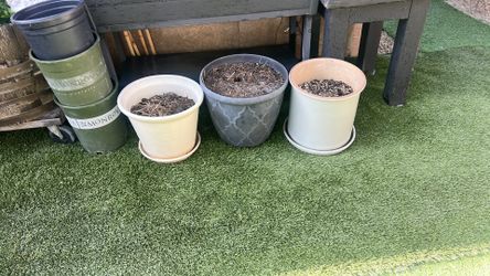 Beautiful pots for plants