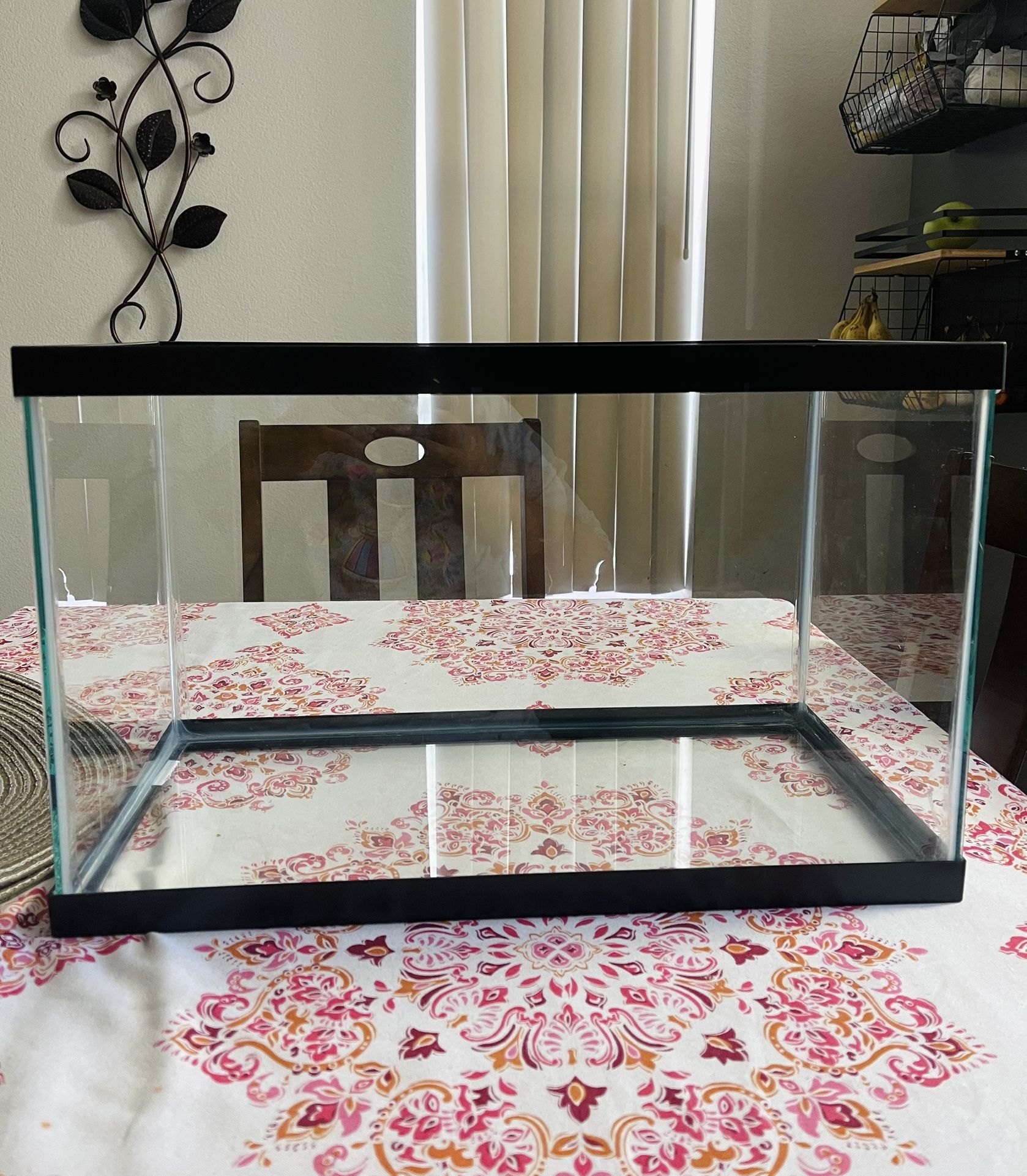 10 Gallon Fish Tank