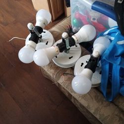 Lights $10 Each