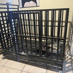 Dog Cage