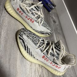 Yeezy Zebra 350 ‘AS IS’
