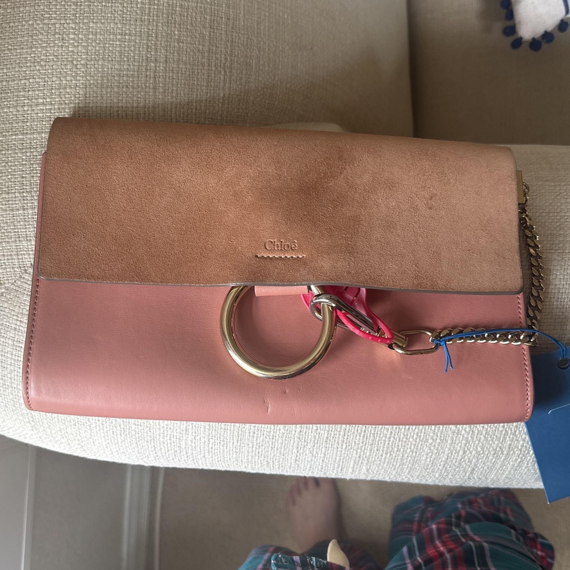 Chloe Clutch Bag ( Misty Rose)