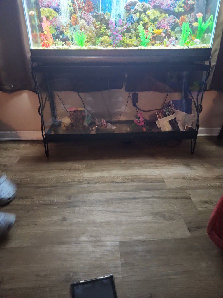 55 Gal Fish Tank