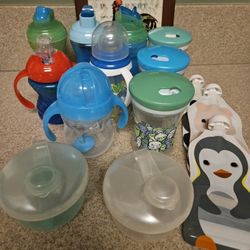 Sippy Cups and Food Pouches