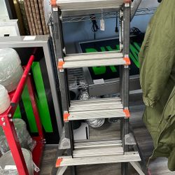 Ladder Little Giant