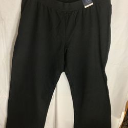 Lane bryant venezia stretch Pants size 22-24