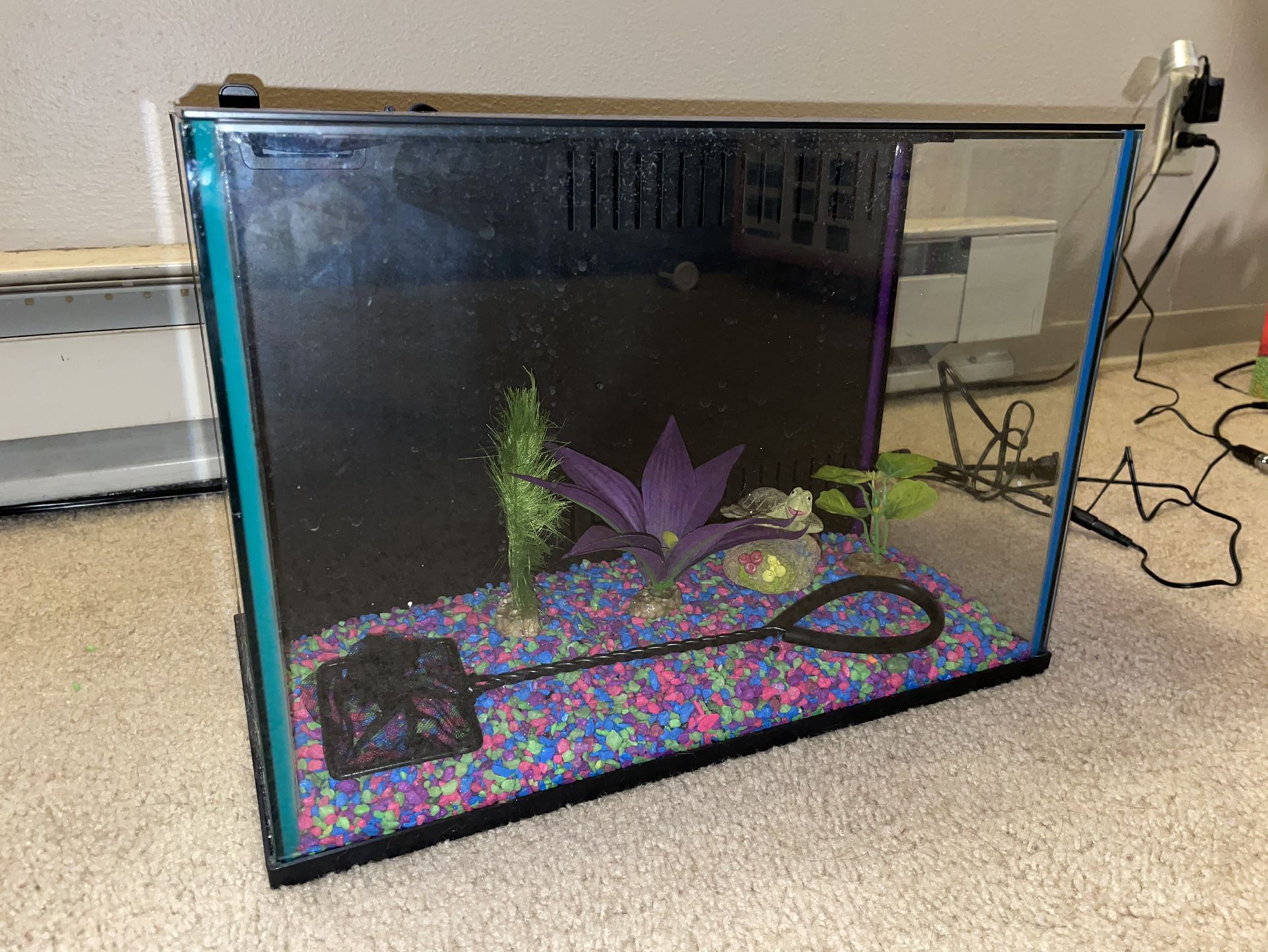 5-gal Fish Tank