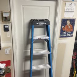 Werner Ladder 6’