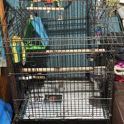 Bird Cage 