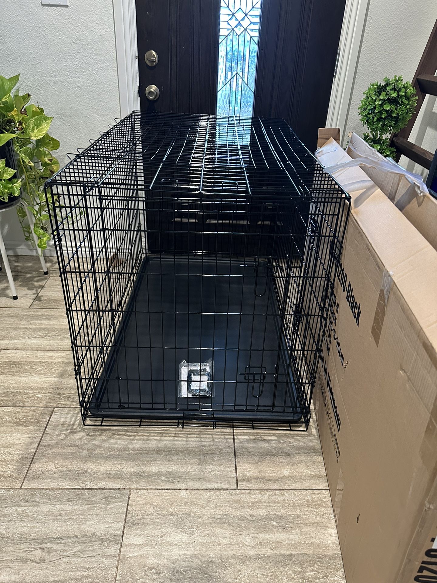 New Dog Kennel