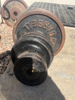 100 lbs standard size weights