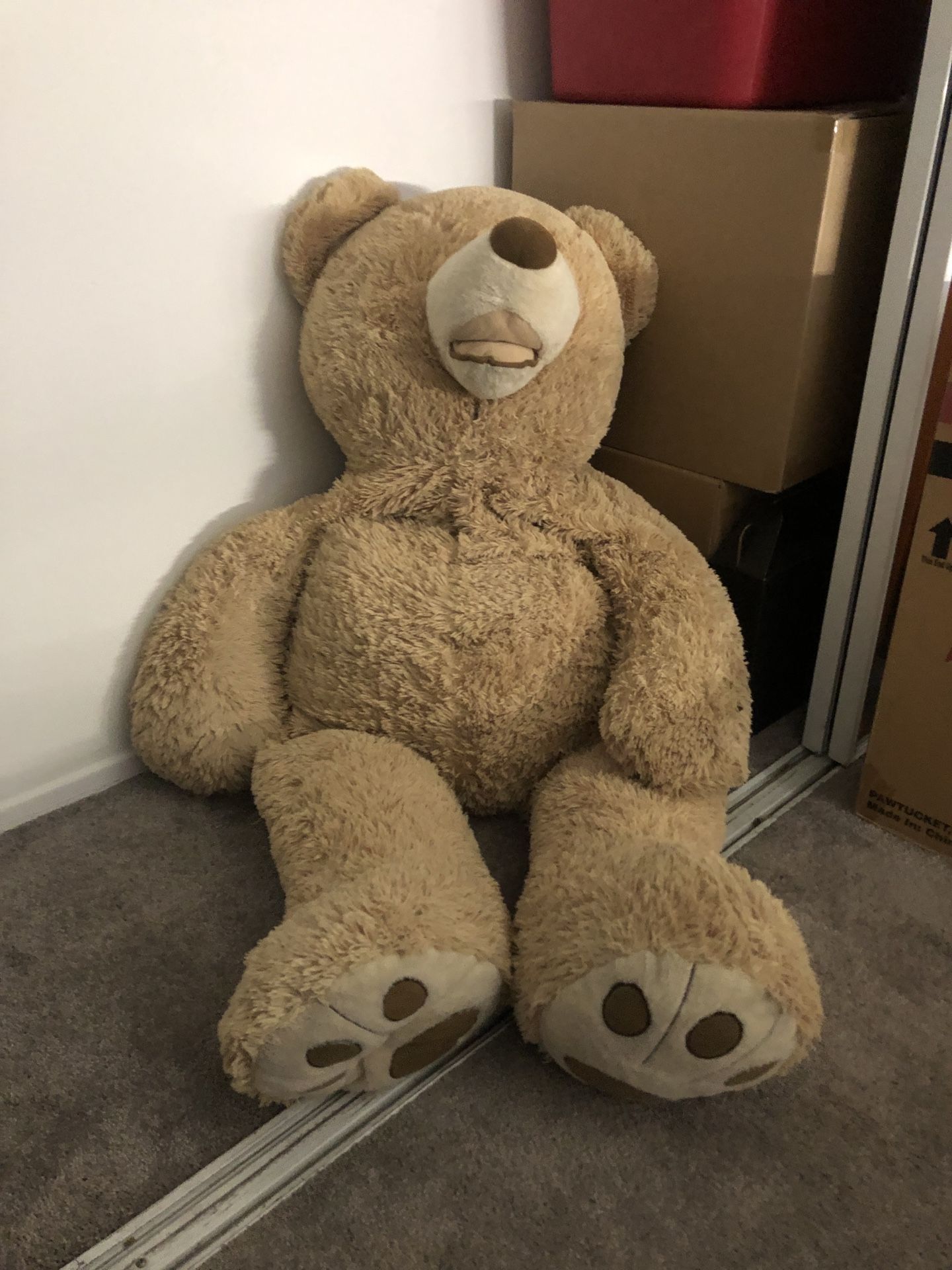 Giant Teddy Bear - Needs a “Forever Home”