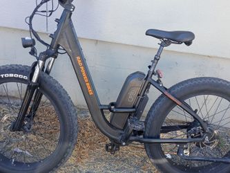 Rad Power Bikes RadRover Electric Fat Tire Bike