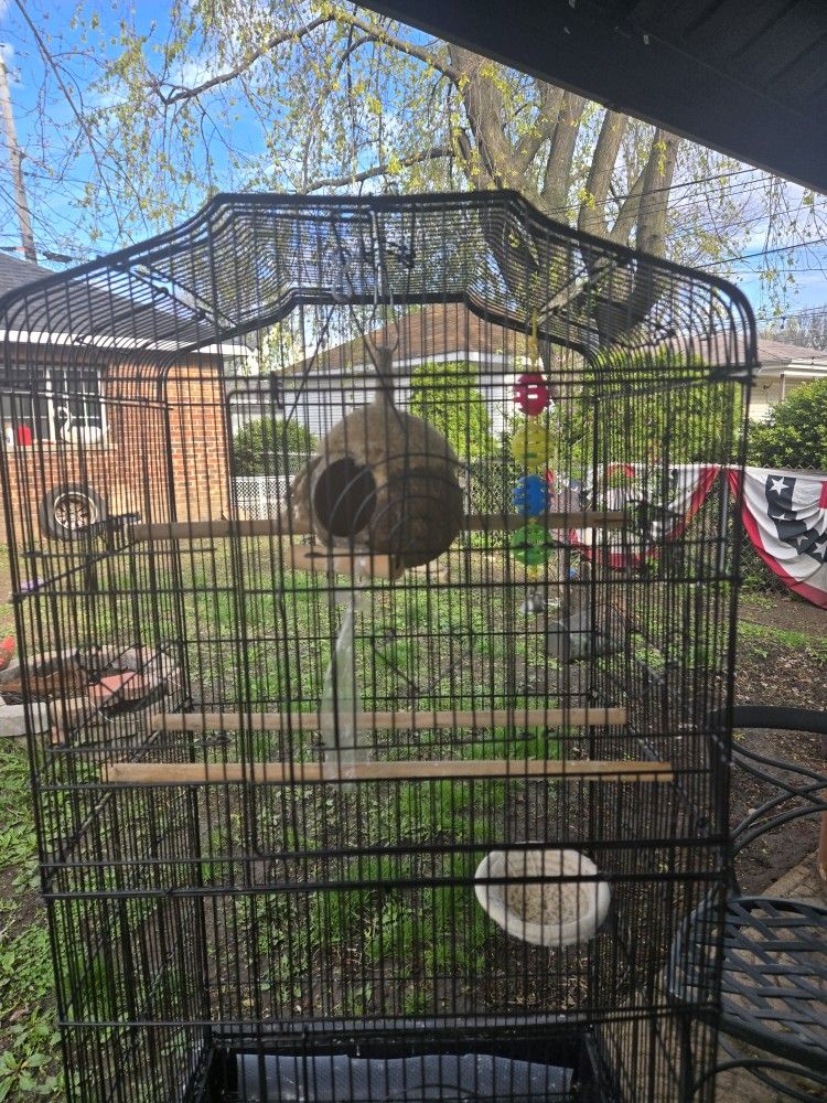 Large Bird Cage