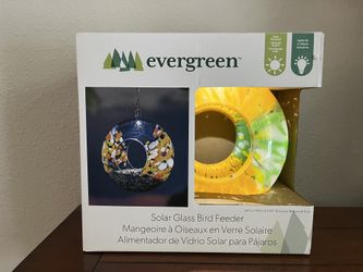 Open Box- Evergreen Glass Circle Bird Feeder