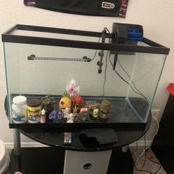 29 Gallon Fish Tank